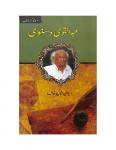 Abdul Qavi Desnavi
