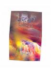 Aaina-E-Jahan Kulliyat-E-Quratulain Flaidar Volume.IX